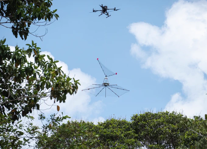 Researchers work with a drone during the XPRIZE Rainforest competition.