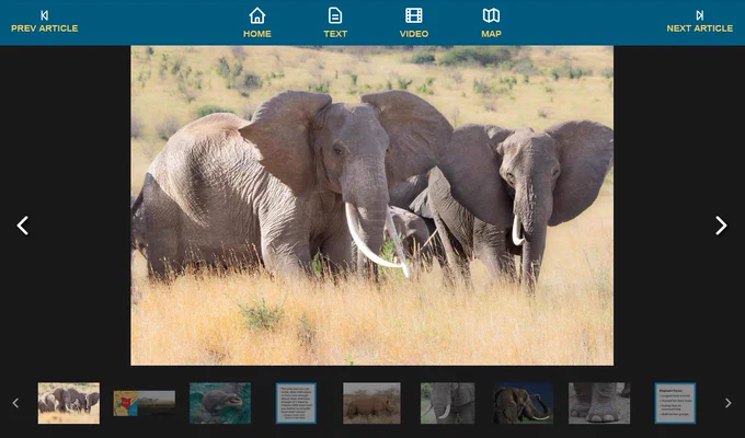 3 elephants in the grasslands