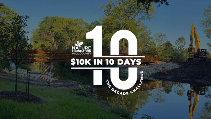 $10K in 10 Days logo.