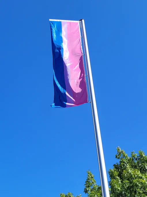 Eine Bi-Flagge