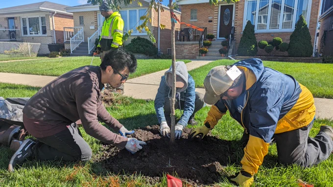 Three men are planting a young tree in a yard, demonstrating teamwork and commitment to environmental sustainability.