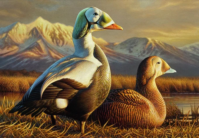 Two ducks rest next to the waters edge. Large snowy mountains are off in the distance.