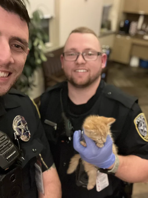 Officer Fisher and Officer McRee making sure the kitten was safe and got the help it needed.