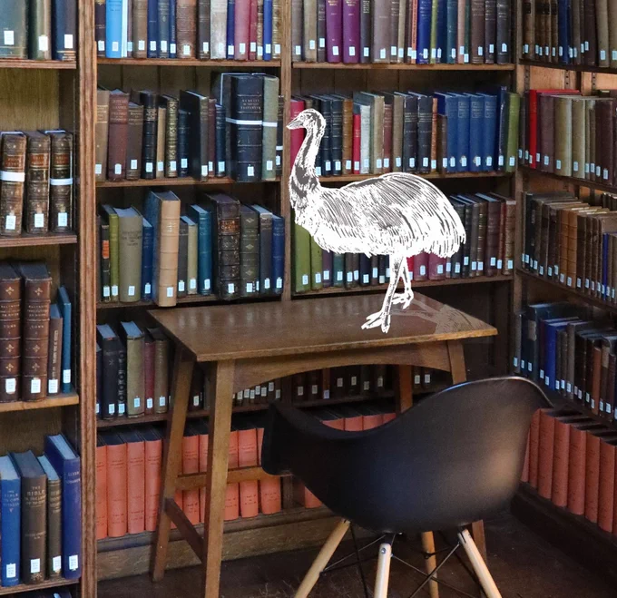 A picture of a desk in the Theology Room. A cartoon of an emu stands on top of it, symbolising flightlessness