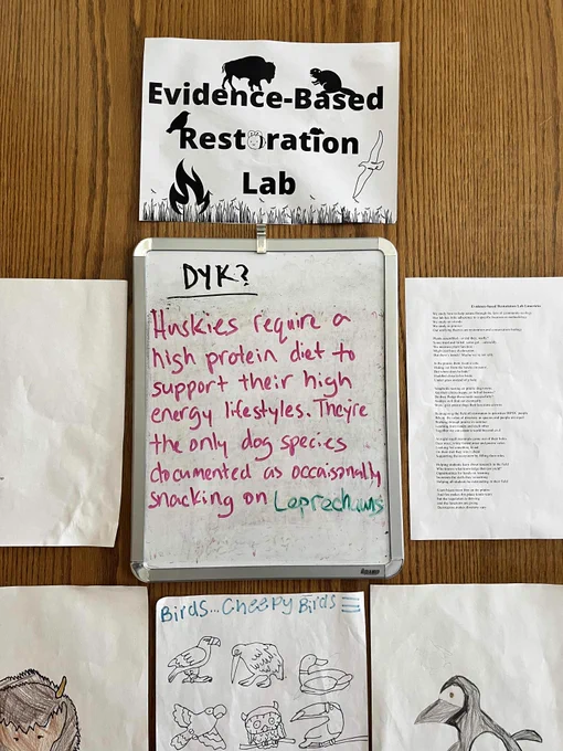 My "did you know" sign on my door reads "Huskies require a high protein diet to support their high energy lifestyles. They're the only dog species documented as occasionally snacking on leprechauns.