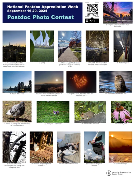 Flyer with 19 photos submitted by MSK postdocs for the NPAW 2024 Postdoc Photo Contest.