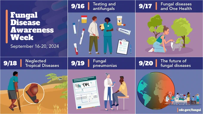 A series of images showing the dates and themes of the fungal disease awareness week. Text reads, “9/16- Testing and antifungals, 9/17- Fungal diseases and One Health, 9/18- Neglected Tropical Diseases, 9/19- Fungal pneumonias, 9/20- The future of fungal diseases.”