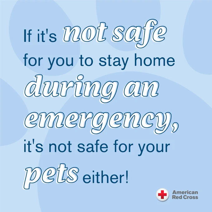 Graphic with text saying "If it's not safe for you to stay home during an emergency, it's not safe for your pets either!" The background is blue with abstract swirls.