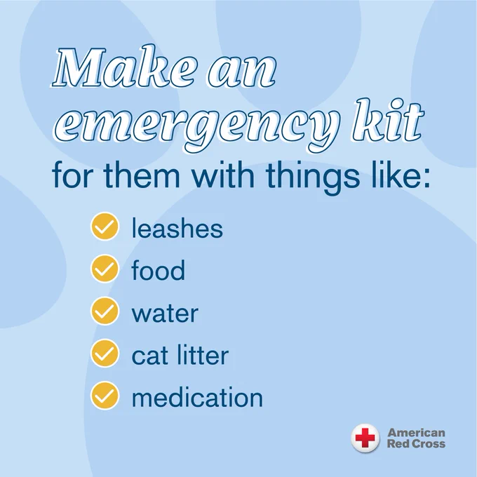 A graphic highlighting items to include in an emergency kit for pets. The list includes: leashes, food, water, cat litter, and medication.