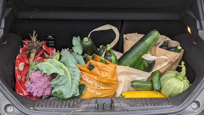 An array of donated vegetables in a car boot ready to be transported, including cucumbers, beetroots, purple caulis and courgettes.