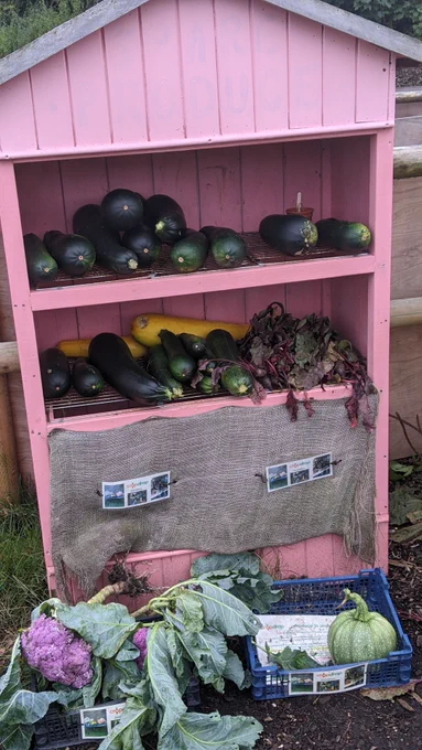 The donated vegetables at the donation shelves at ROOTS Allotments.