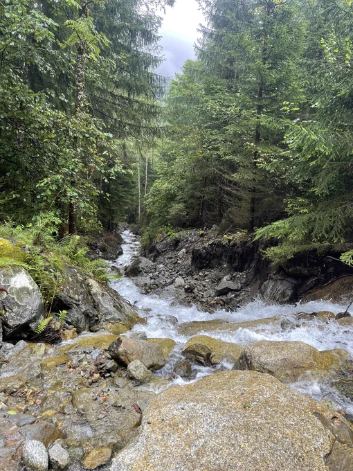 Mountain stream