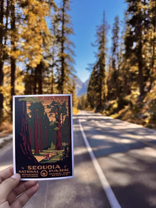Sequoia National Park postcard in front of a road in the national park
