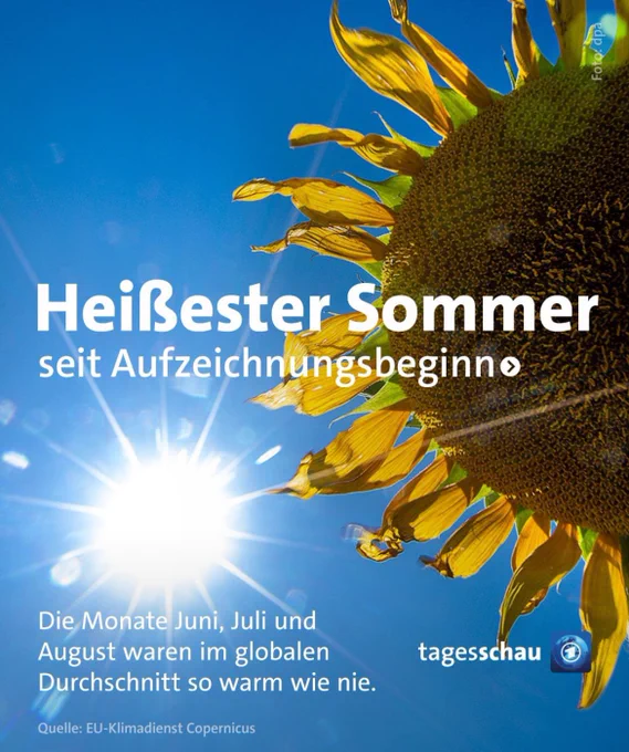 Auf dem Bild ist ein großer, gelber Sonnenblumenkopf vor einem strahlend blauen Himmel zu sehen. Links im Hintergrund scheint die Sonne hell mit sichtbaren Strahlen, die das Bild durchfluten. In weißer Schrift steht zentral der Text „Heißester Sommer seit Aufzeichnungsbeginn“. Darunter, etwas kleiner, lautet der Text: „Die Monate Juni, Juli und August waren im globalen Durchschnitt so warm wie nie.“ Ganz unten wird als Quelle der EU-Klimadienst Copernicus angegeben. Rechts unten befindet sich das Logo der „tagesschau“.