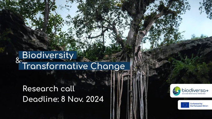 #BiodivTransform
Biodiversity and Transformative Change research call