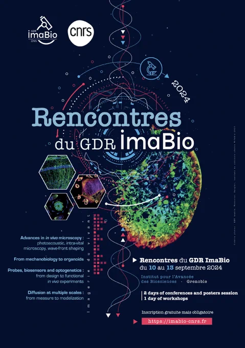 https://imabio-cnrs.fr/wp-content/uploads/2024/07/Programme_26062024.pdf?x49656