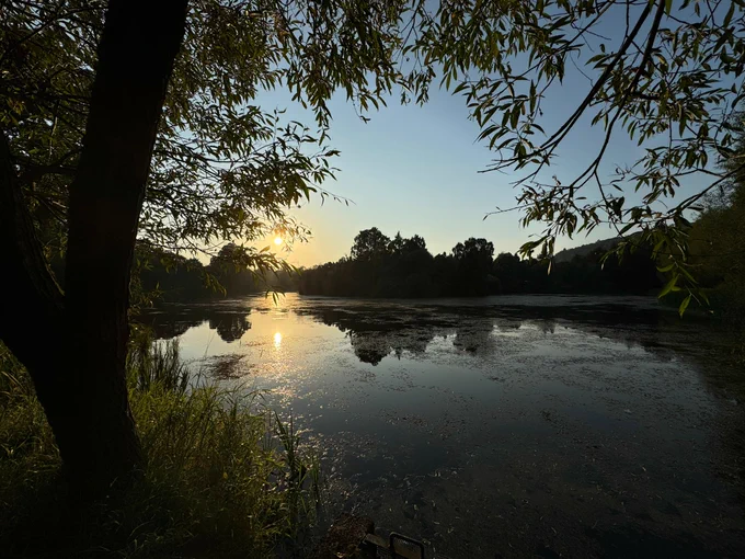 A sunset over a lake through trees