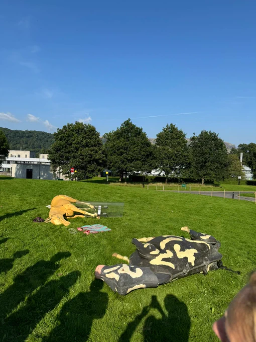 Lifesize dummies of a horse and a cow laid down on grass