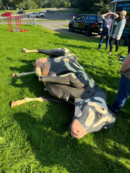 A life size dummy of a cow