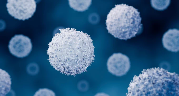 T cells (Image: AdobeStock)