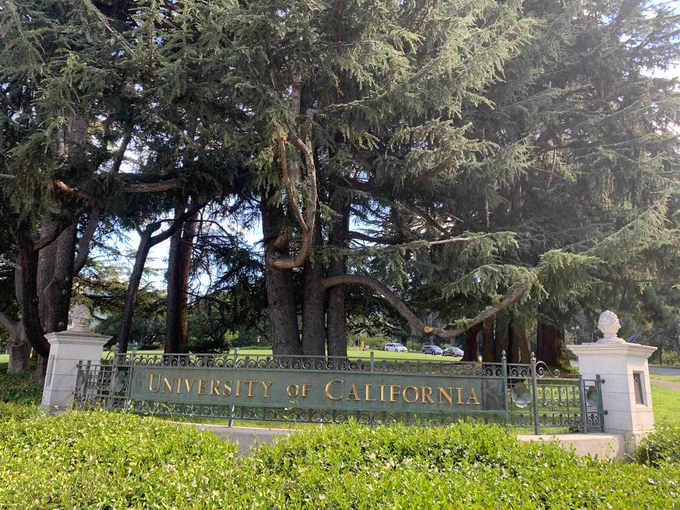 Iron gate at one of the entrances of the University of California Berkeley, in front of a grove of trees.