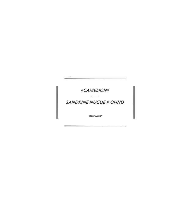 Specimens showcasing Camelion, a new typeface designed by Sandrine Nugue.
