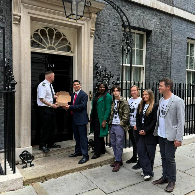 A group of WWF staff and supporters, most wearing panda logo t-shirts, line up outside the door of No. 10 Downing Street, with one person handing over a box of petition signatures to a security guard.