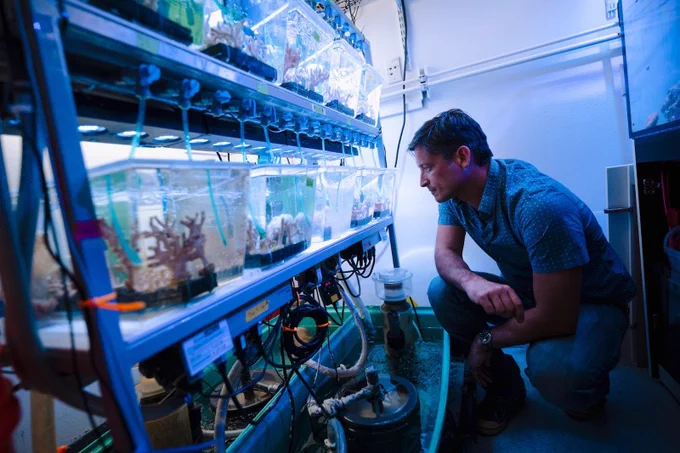 Martin Tresguerres examines specimens in an aquarium within a lab