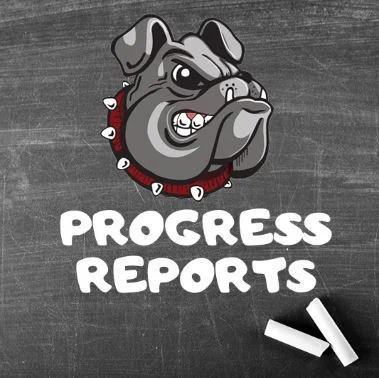 Progress Report