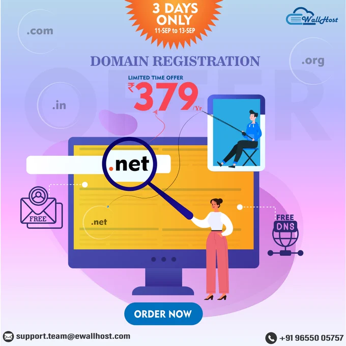 eWallHost .NET Domain Offer