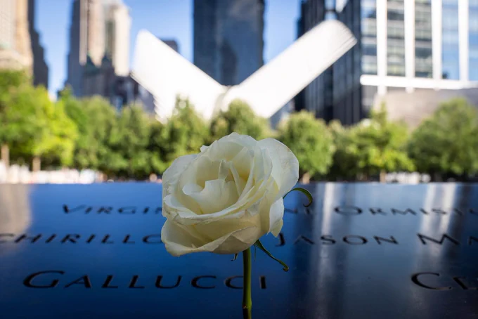 White rose sits in center against 9/11 memorial wall with names with manhattan skyline in the background