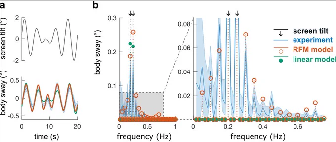 Stimulus contained only two frequencies (black arrows). The model predicted sway evoked at several other frequencies (orange circles). Experiments confirmed the predicted pattern.
