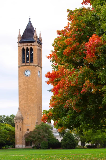A 2020 photo of the Campanile in the falls, with a nearby tree just starting to change colors. 