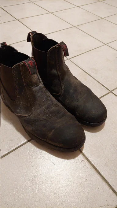 Ein Paar Boots/RedBacks