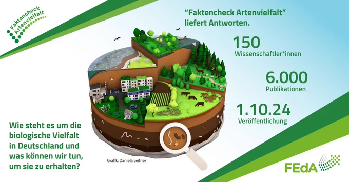 Der Faktencheck Artenvielfalt ist ein Werk für das über 150 Wissenschaftler*innen mehr als 6000 Publikationen gesichtet, bewertet und zusammengefasst haben. Der Bericht erscheint am 1.10.24 über den Oekom-Verlag. Grafik: Daniela Leitner.