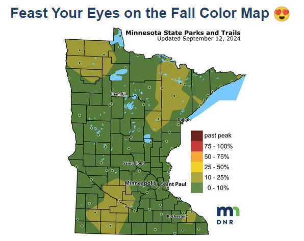 Map of Minnesota showing the percentage of fall colors by region from the Minnesota DNR. 