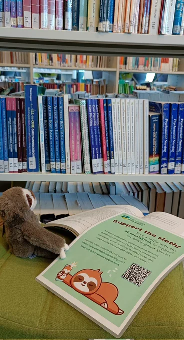 Sloth looking at the books on a shelf in the library 