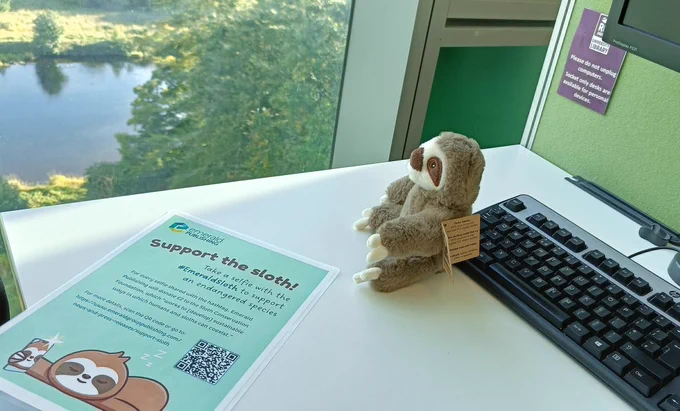 Sloth leaning on a library computer keyboard gazing out the window at the River Dee