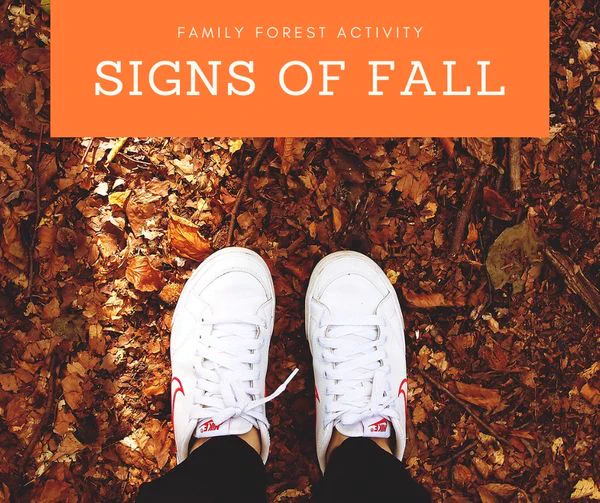 Words read, "Family Forest Activity. Signs of Fall."