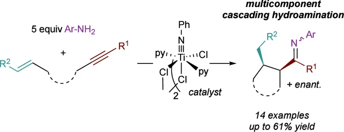 Cascading hydroamination of 1,6- and 1,7-en-ynes