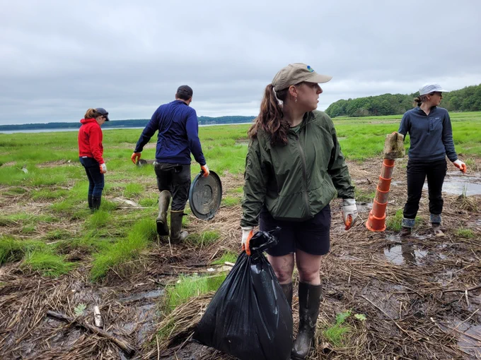 Group of people working and picking up litter from a salt marsh coast