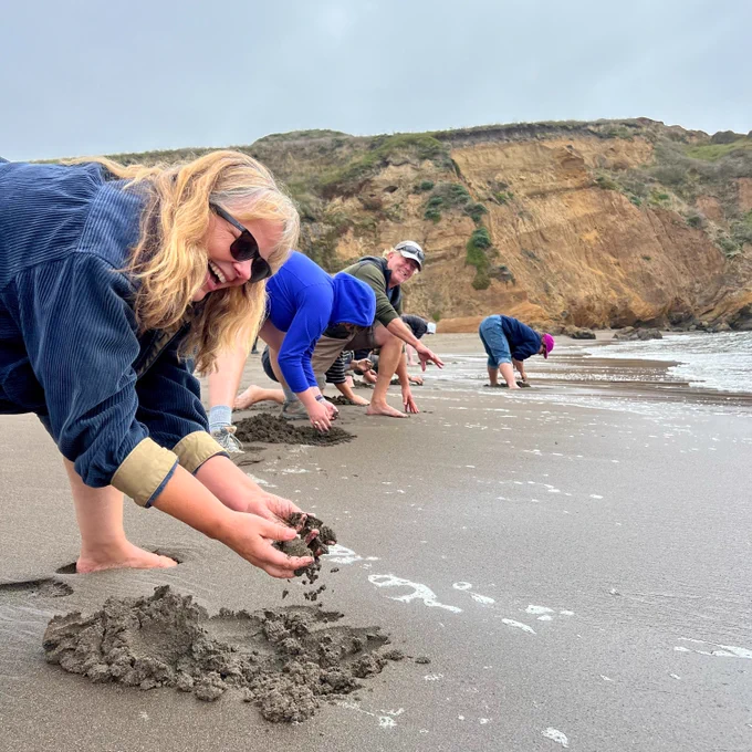 NatureBridge educators smiling and digging with their hands in beach sand at the ocean's edge