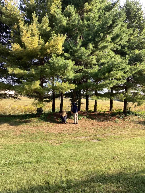 2 students investigating different species of trees and the plants underneath.