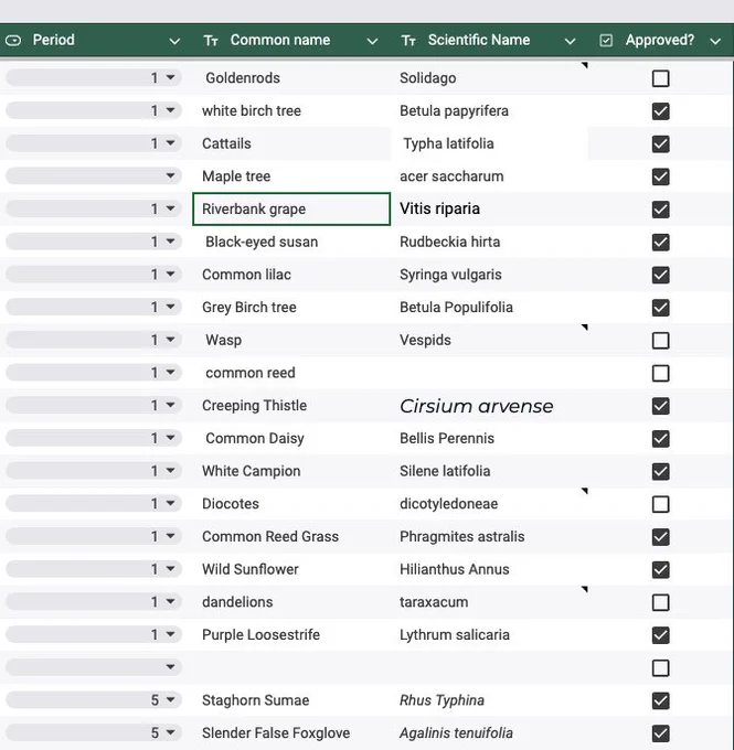 An image of a section of the spreadsheet we’re using to track the species we found. It includes columns for their class period, common names and scientific names for ‘their’ chosen species.