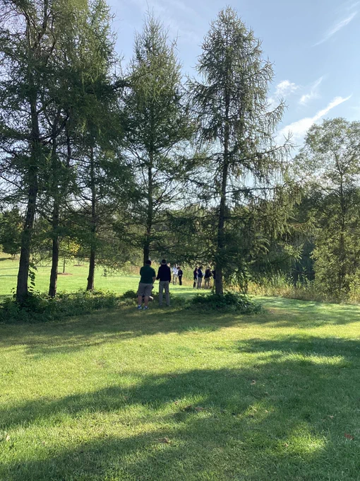 2 students standing near some trees taking pictures so they can identify them later; 2 other groups of 2-3 students in the background exploring the species in the marsh around a pond.