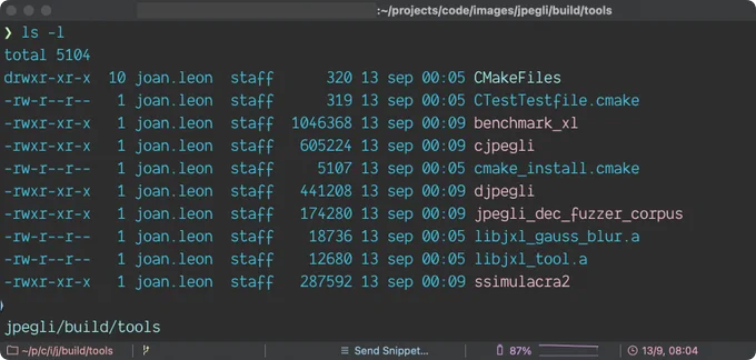 Terminal screenshot of the jpegli tools' folder content