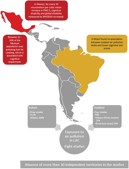 Figure 2. Air pollution and cognitive impairment: situation in Latin America and the Caribbean.