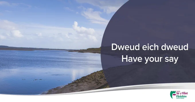 Dweud eich dweud / Have your say