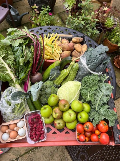 A table full of donated vegetables in a variety of colours, including apples, tomoatoes, potatoes, courgettes, kale, beetroot, runner beans, raspberries, cabbage, broccoli and eggs.