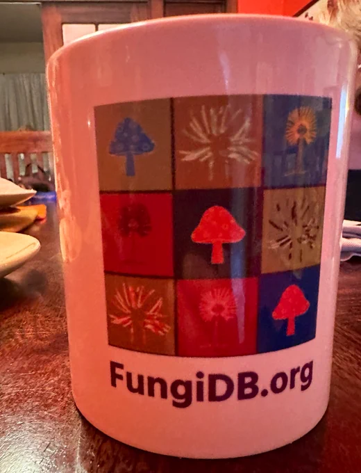 Photo of a coffee mug with the logo and words FungiDB.org
